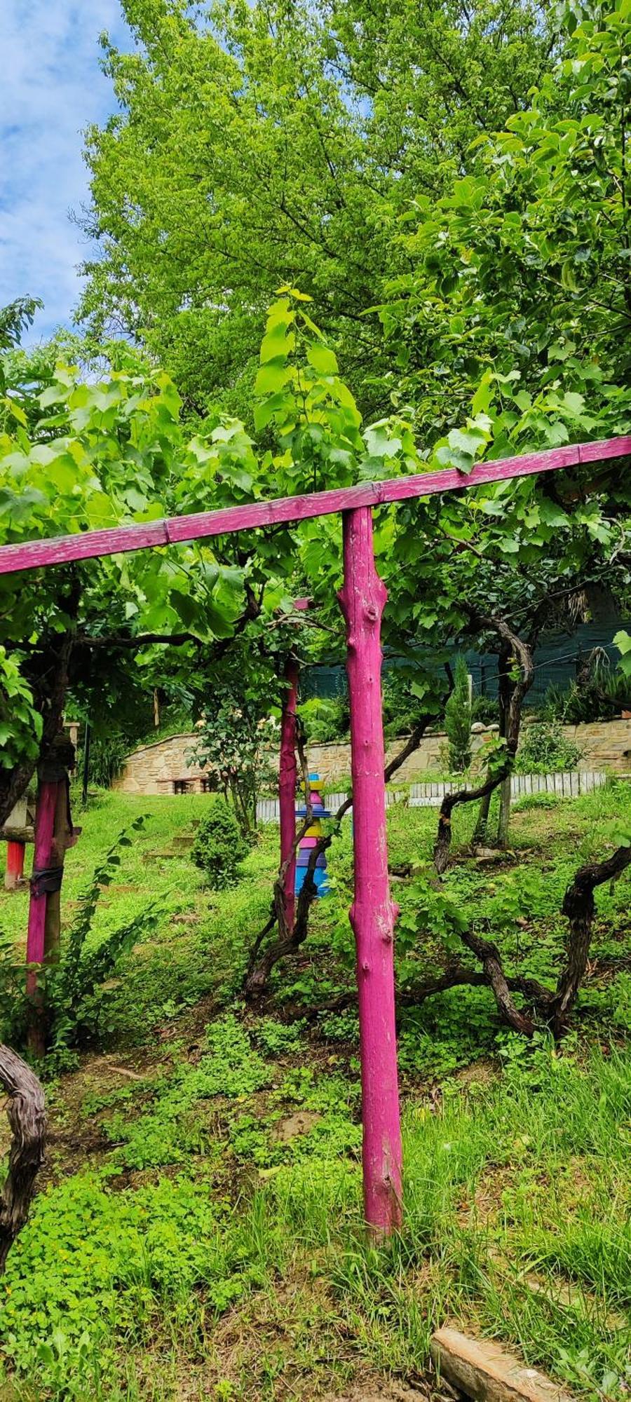 Villa Le Rose Di Mapi Mango Exterior foto